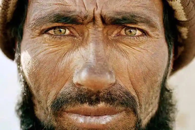 Featured Post Image - Who is Jesus, According to the Bible?