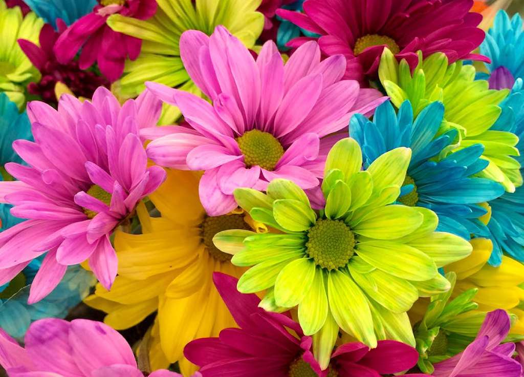 Featured Post Image - Dwelling in God’s Presence