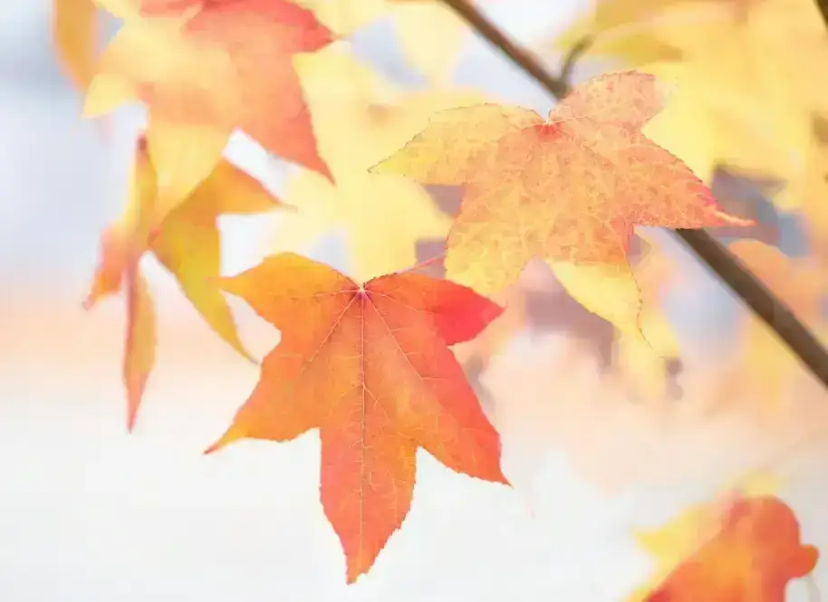 Featured Post Image - Today Is Your Day of Opportunity