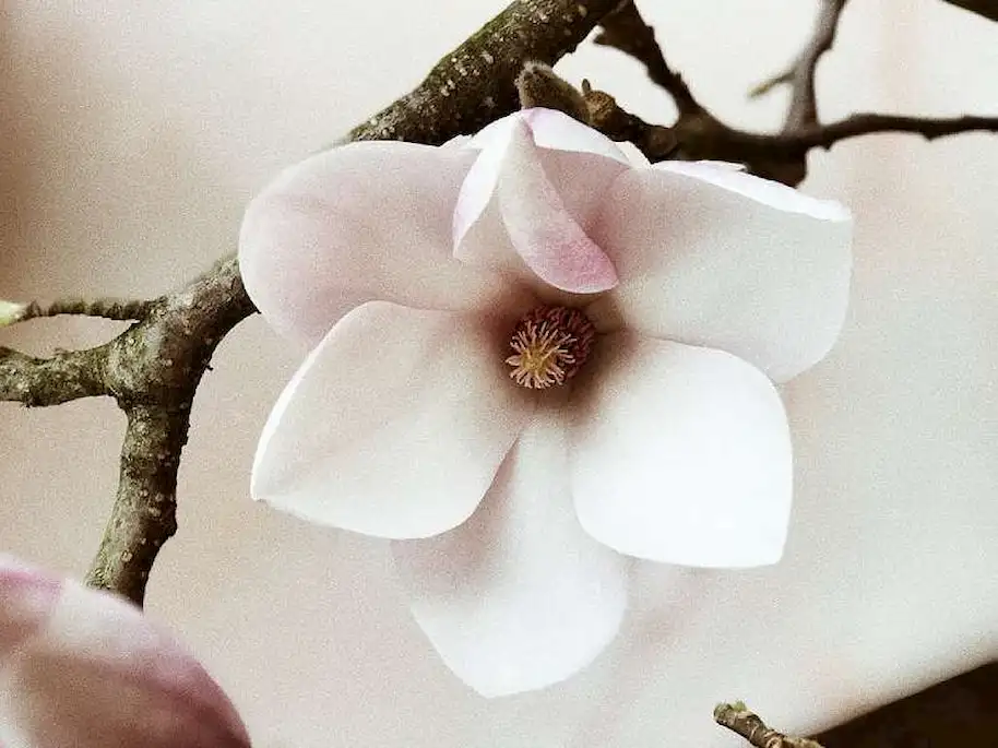 Featured Post Image - Spiritual Growth