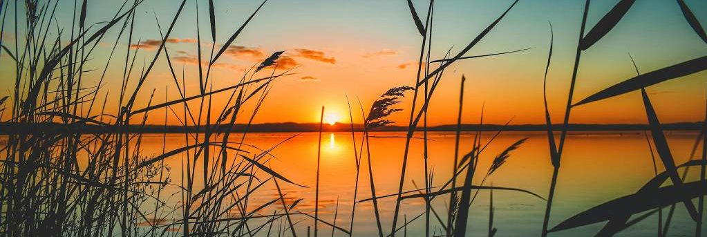 Featured Post Image - I will Give You Rest