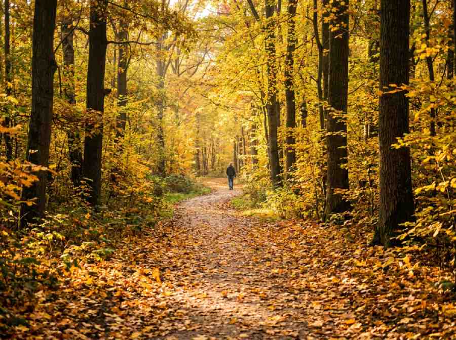 Featured Post Image - Fall Seasons in the Life of the Believer